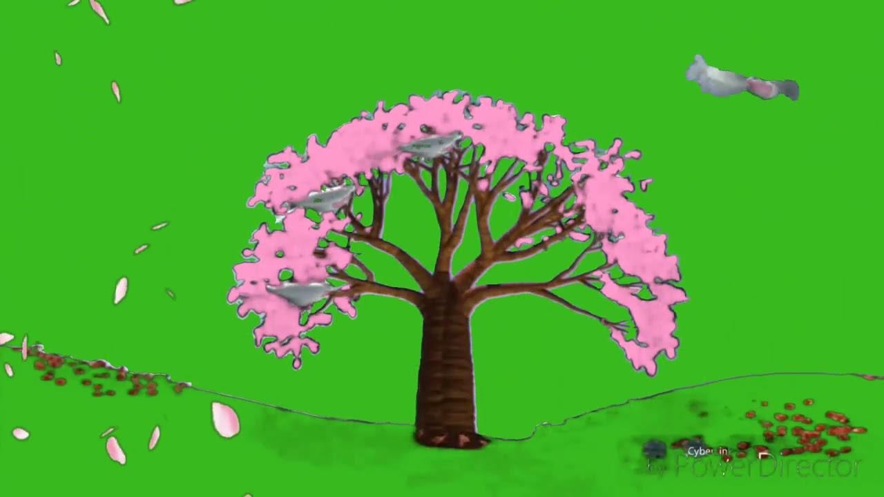 Magic Blossom Tree Green Screen