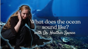 What does the ocean sound like? with Dr. Heather Spence