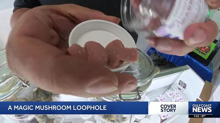 No psilocybin, no problem? New mushrooms in Florida blur legal lines in psychedelic sales
