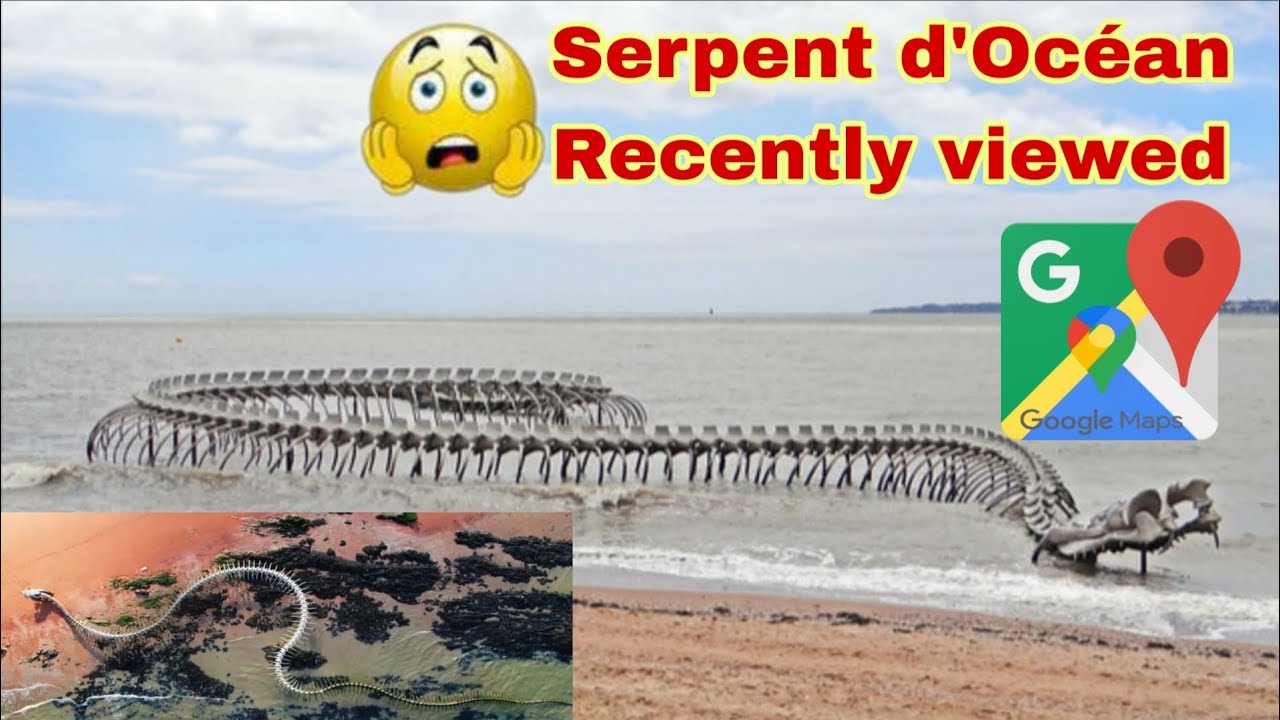 Snake Small Map Google Maps पर दिखा Snake जैसा Scene! सच जानकर हैरान रह जाओगे - YouTube