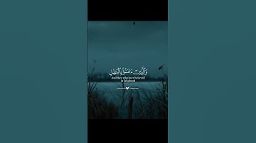 #تلاوة_خاشعة #اكسبلور #قران_كريم #المصحف #لايك #دويتو #راحة_نفسية #قرآن