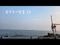 제738회2025 121화요일 묵꼬양에서 인사드립니다