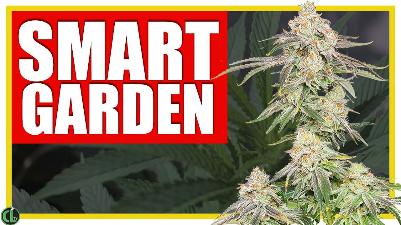 SMART GARDEN? How to Automate an Indoor Grow Room Affordably