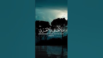 سورة القصص | للقارئ #ياسر_الدوسري #قرآن #تلاوة_خاشعة