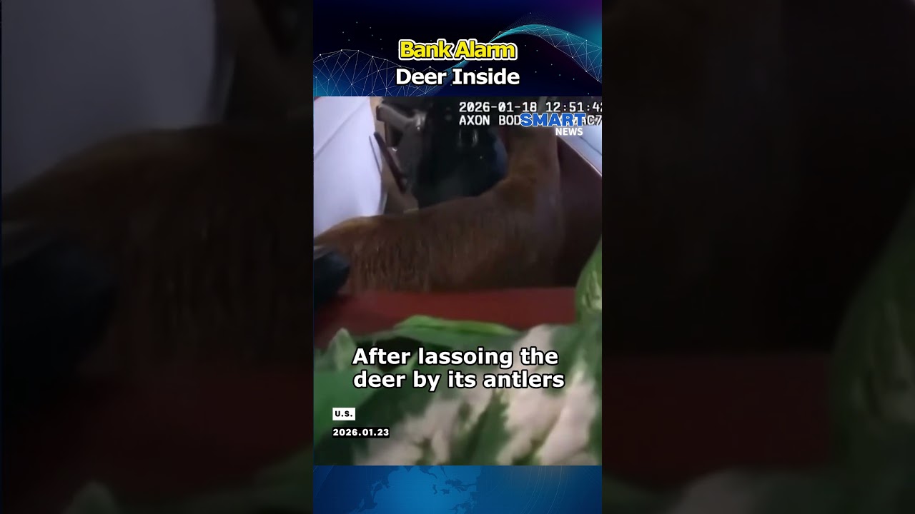 Неожиданное проникновение активировало банковскую сигнализацию.