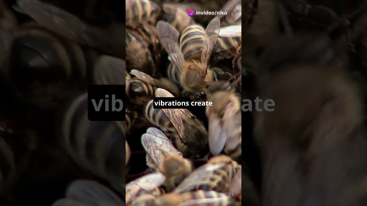 why honey have hexagonal structure??🌻🐝 