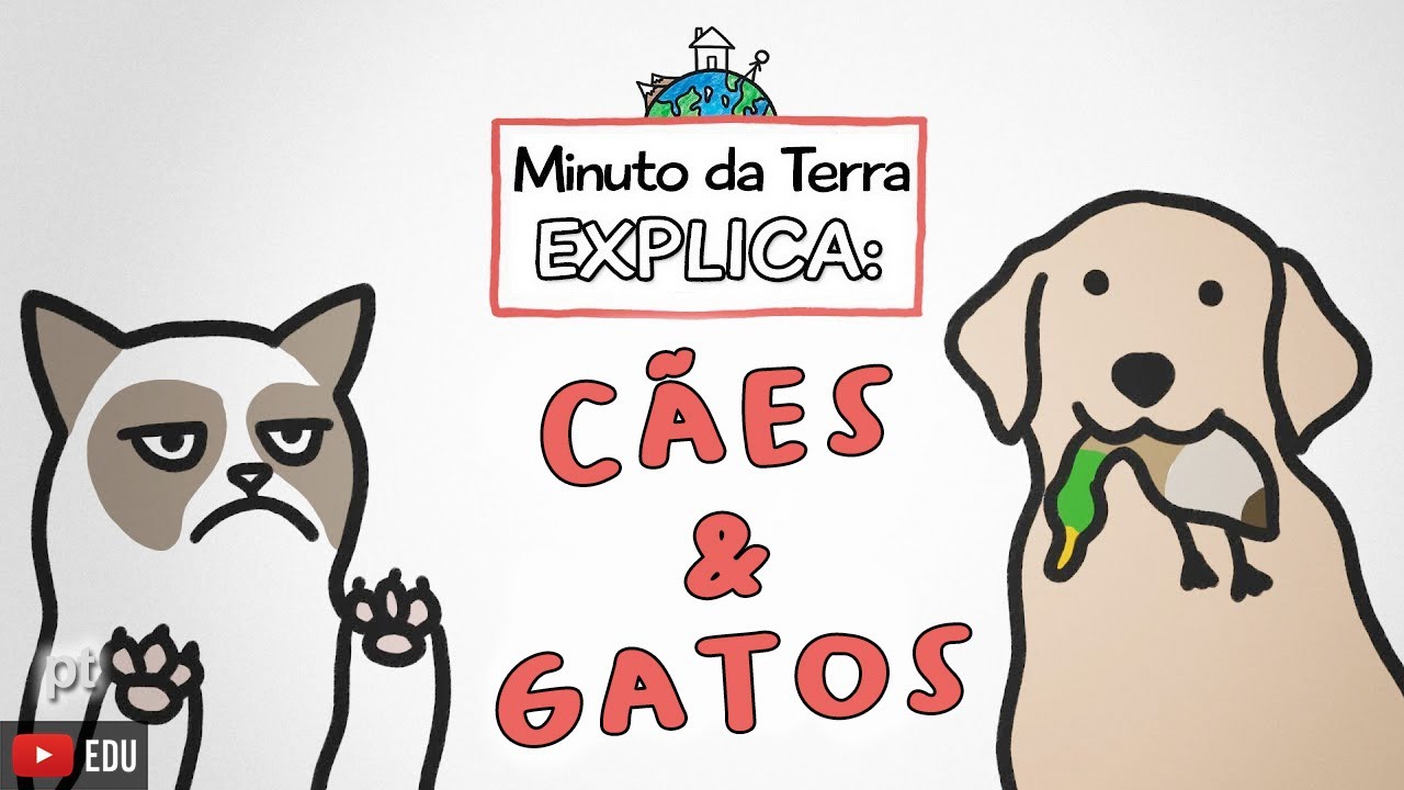 Minuto da Terra explica: CÃES & GATOS