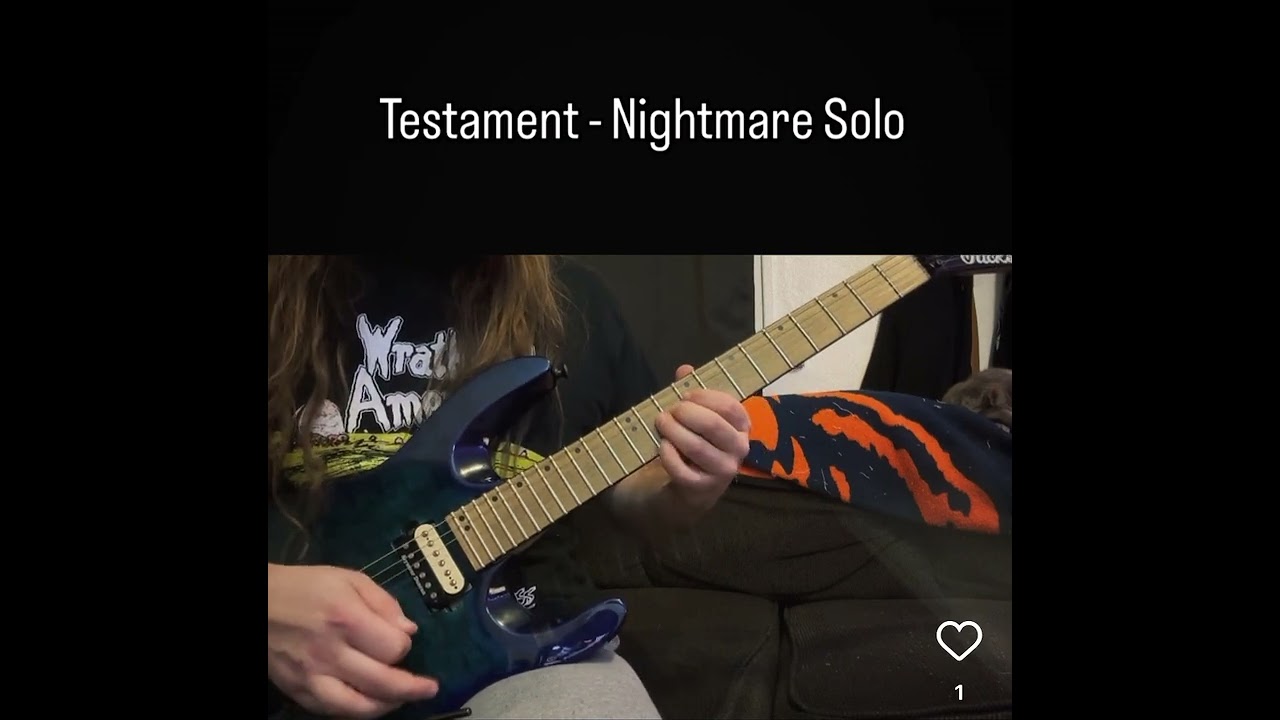 Testament - Nightmare (Coming Back To You) Solo Cover