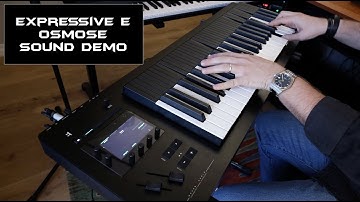 Expressive E Osmose Demo | No Talking |