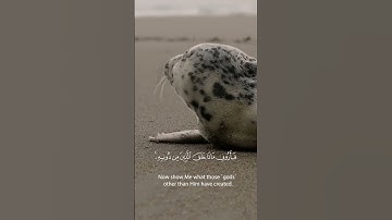 Surah Al-Luqman 11 (Quran 31:11) (سورة لقمان) - Yasser Al Dosari (ياسرالدوسري)