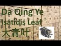 52 chinese herbal medicine traditional chinese medicine  da qing ye isatidis leaf     