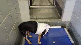 acs A677440