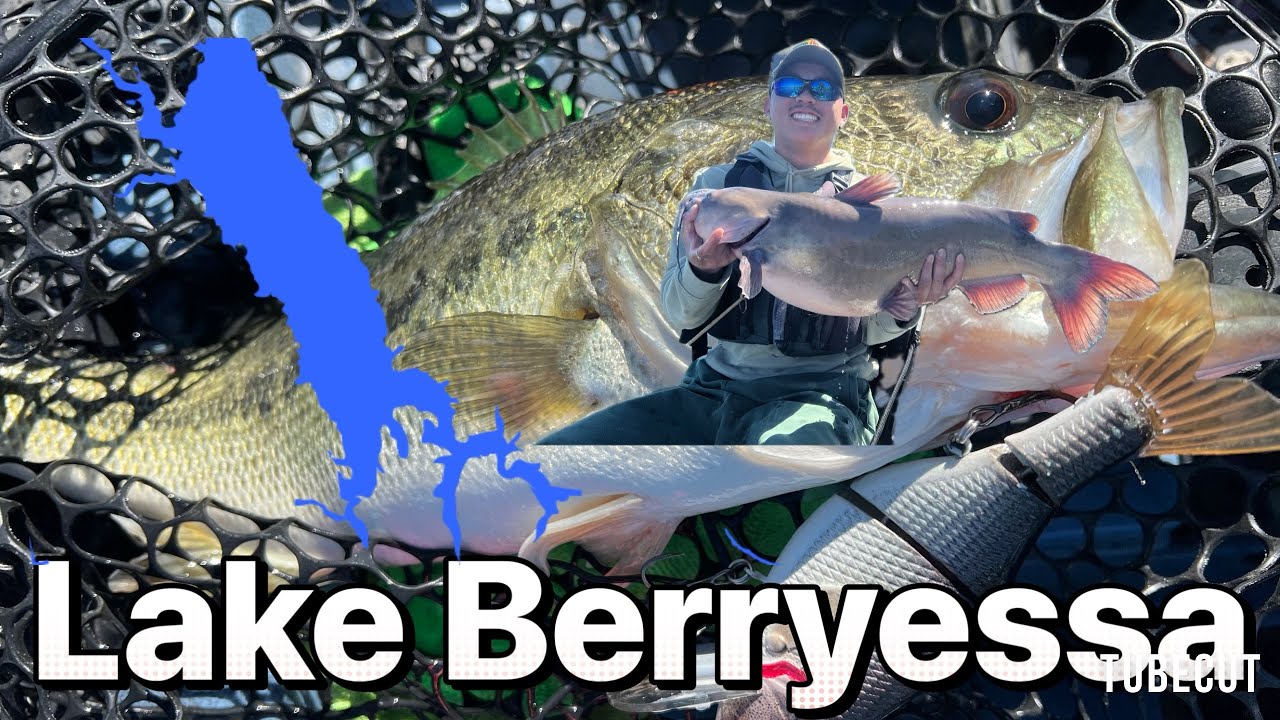 SWIMBAIT DAY WAS TOUGH!!