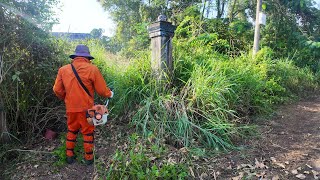 Download Lagu 40 Minutes to Satisfy Your Need for Cleaning an Abandoned, Overgrown House MP3