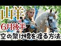 【山羊座6月後半】🌈スカイブリッジを渡る時が来ました🌈ご自分の魂との契約は聖なる契約そして優しい契約🌈あなたは負けない🌈