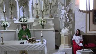 VI domenica del tempo ordinario (15 febbraio)