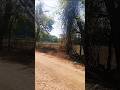 गांव जिंदगी #travelblog #travelvideo #nature #indianart #travel #cbum