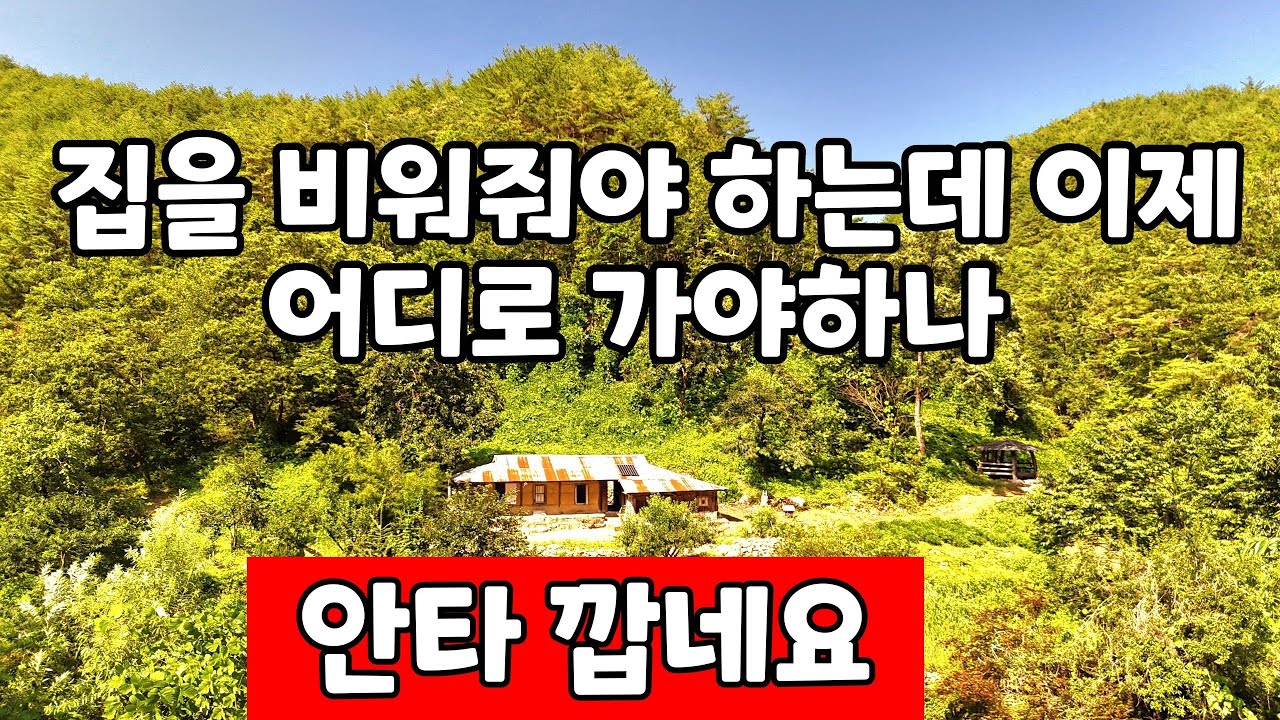 깊은산속 에 홀로사는 자연인 이제 어디로 가야하나  안타까운 일들이 실제로 일어났다