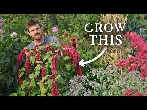If Droughts Become Normal, Here are 12 Crops I'd Grow More
