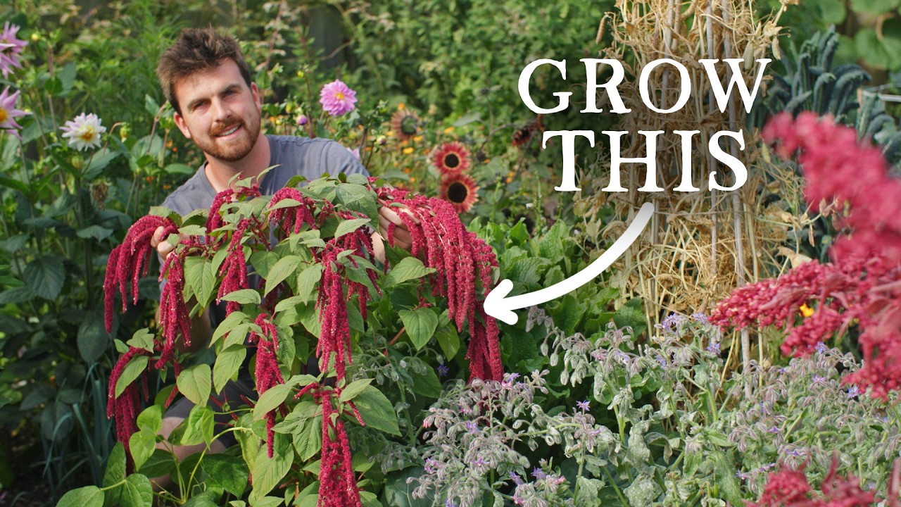 If Droughts Become Normal, Here are 12 Crops I'd Grow More