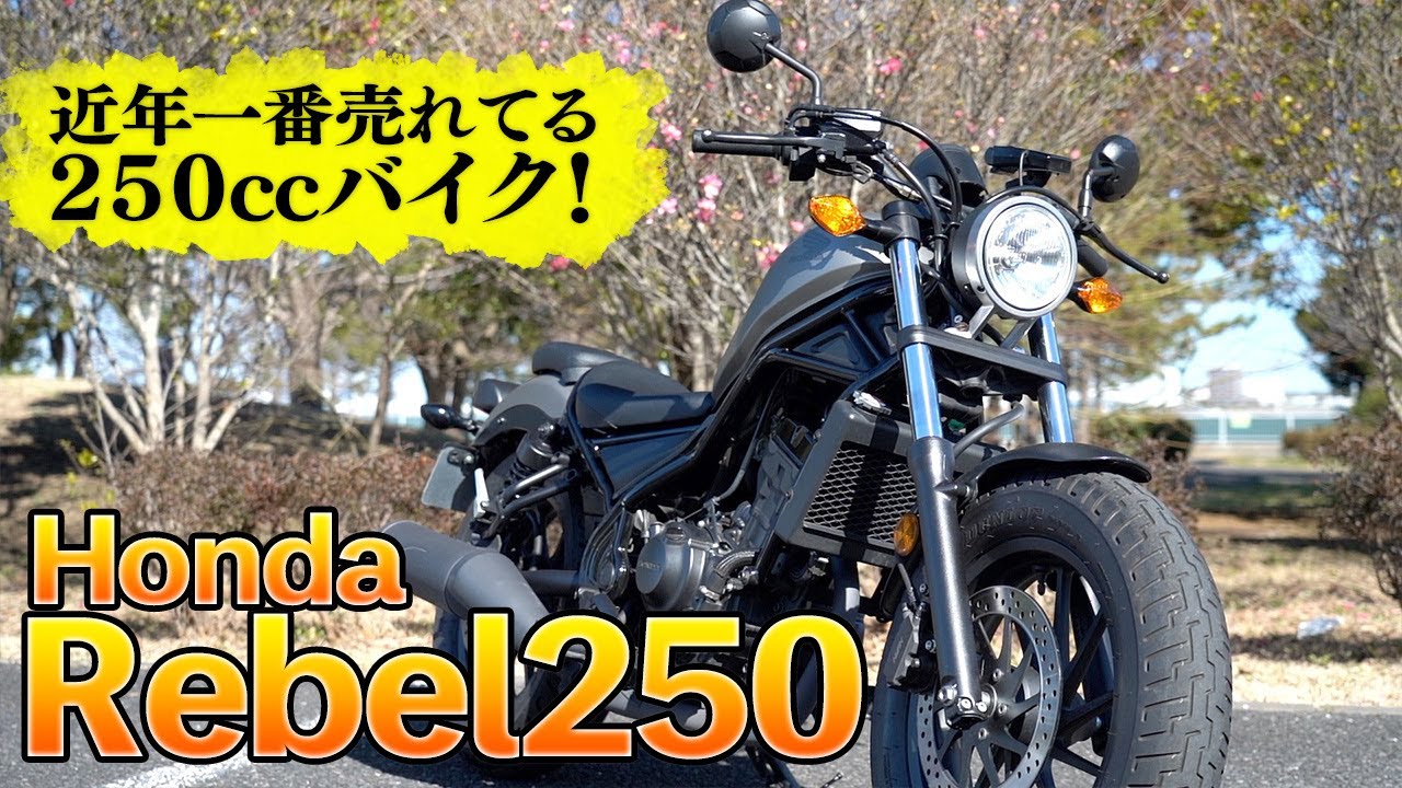 hq720.jpg?sqp=-