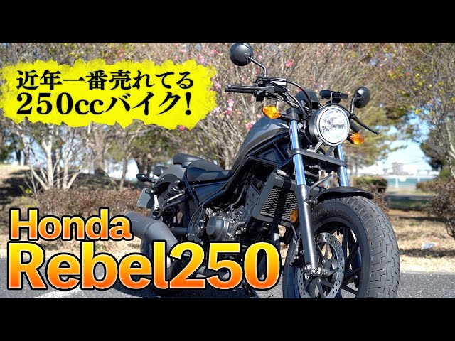 大人気バイク】レブル250は究極に乗りやすい！！｜Honda Rebel250試乗