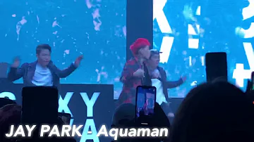 JAY PARK - Aquaman (Live 11/24 @The Riviera Theatre)