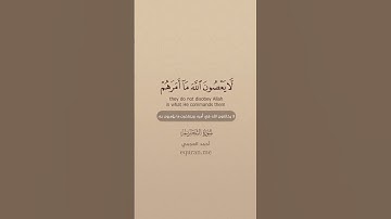 سورة التحريم  6   7   الشيخ أحمد العجمي #يارب  #فولو #يارب #اكسبلور #فولو #تيك_توك #اكسبلورر #الصلاه
