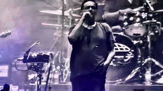 Fabulosos Cadillacs - Siguiendo la luna (En vivo, Bcn 2025)