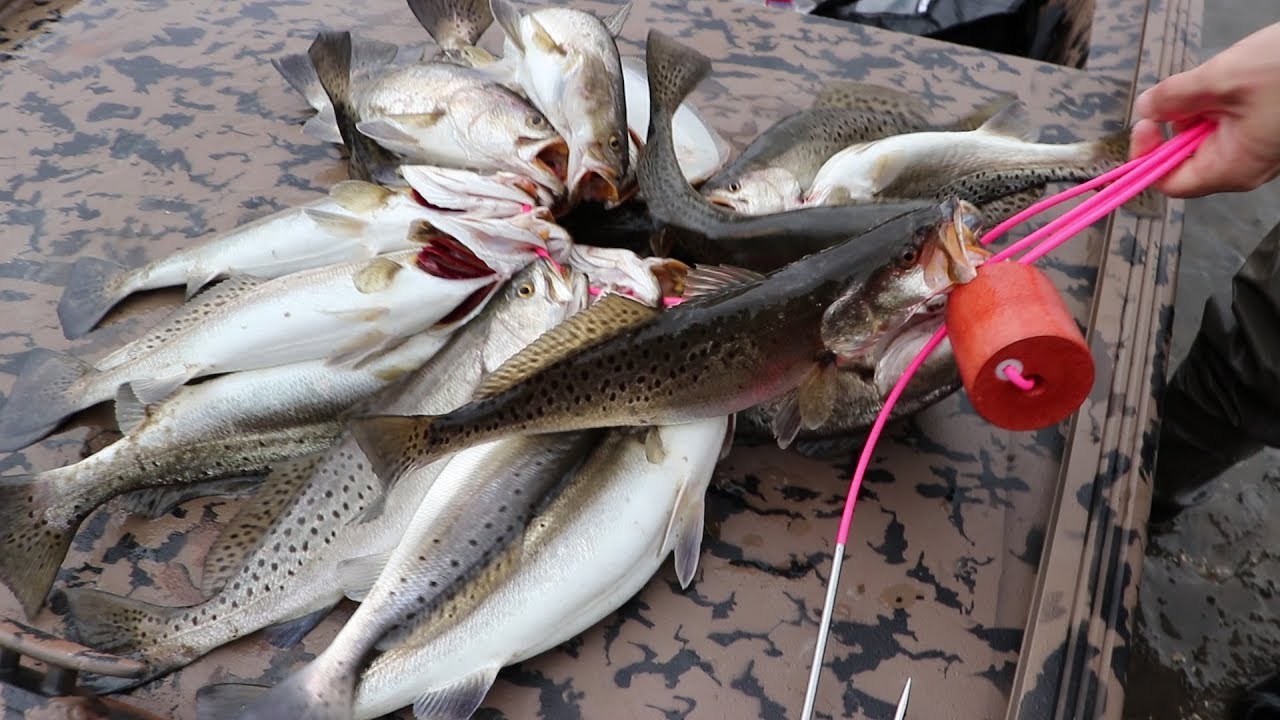 FOUND THEM!! WADE FISHING/TIPS AND TRICKS YouTube