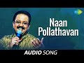 Naan pollathavan song  polladhavan  sp balasubrahmanyam  ms viswanathan hits