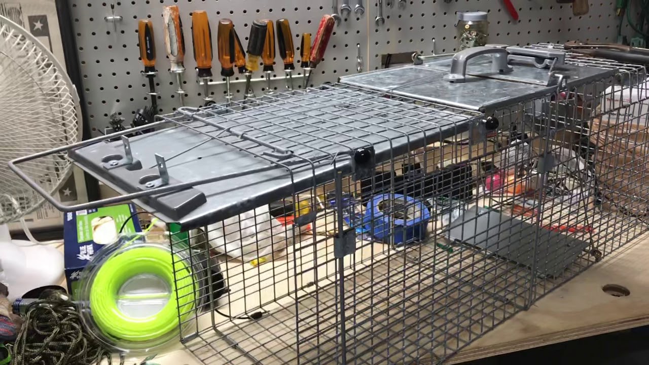 How to reinforce a raccoon cage YouTube