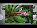 2013 宇治市植物公園 の動画、YouTube動画。
