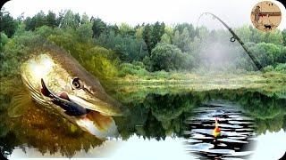 КАК ЛОВИТЬ ЩУКУ НА ПОПЛАВОК С БЕРЕГА,ТЕХНИКА ЛОВЛИ.fishing,bushcraft,nature,camping.