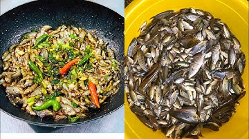 Trời mưa đi bắt cá con về làm mẻ kho quẹt ngon hao cơm