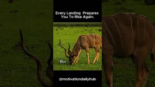 Rise Again — Stronger After Every Fall Net Worth