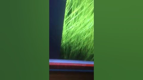 Fibaro universal sensor, arduino and breadbord test setup with a Zipabox