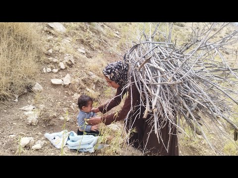 Bringing Firewood: A lonely nomadic woman with her child for the cold night in the hut | Part 2