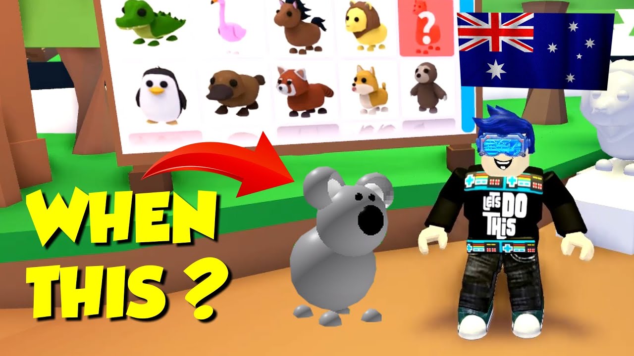 Will We Get An Adopt Me Pet Koala Like Ever Youtube - neon koala roblox adopt me