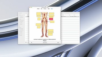 How to Import Flashcards into Anki App | Open .APKG file with Anki on Mac