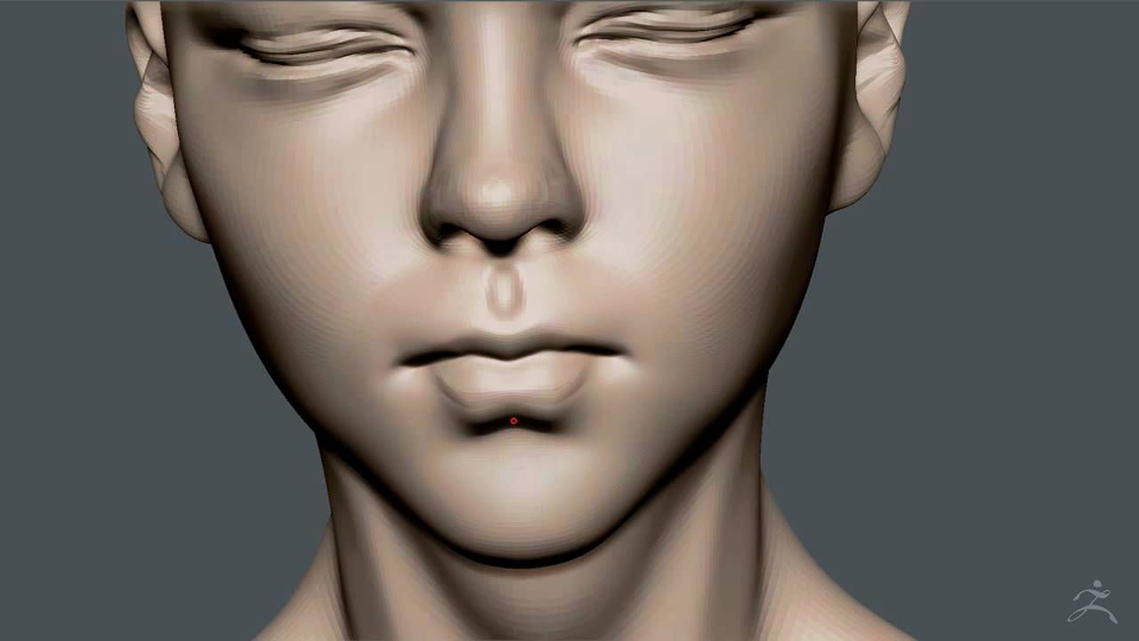 Zbrush Female Head Model Download