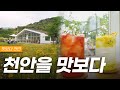 🔥천안 성거읍 핫플🔥 카페 곳곳이 포토존!