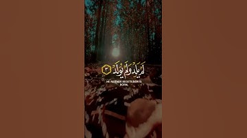 تلاوة هادئة تريح الأعصاب 😴🎧 | القارئ اسلام صبحي🤍🌥️