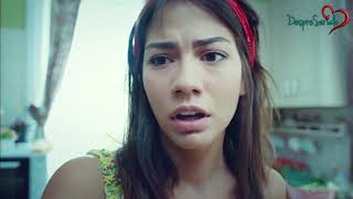 Download Lagu Pasare De Noapte MP3 Pasare De Noapte