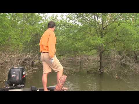 Bluegill Fishing and Cleaning On Kentucky Lake