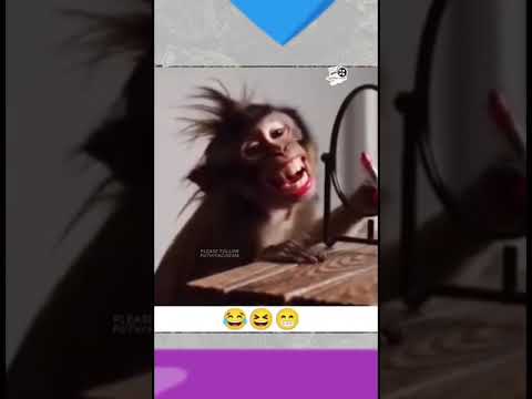 يا عروسه دوسي دوسي اكسبلور كوميديات  تحشيش ضحك تحشي ترند رمضانمبارك  