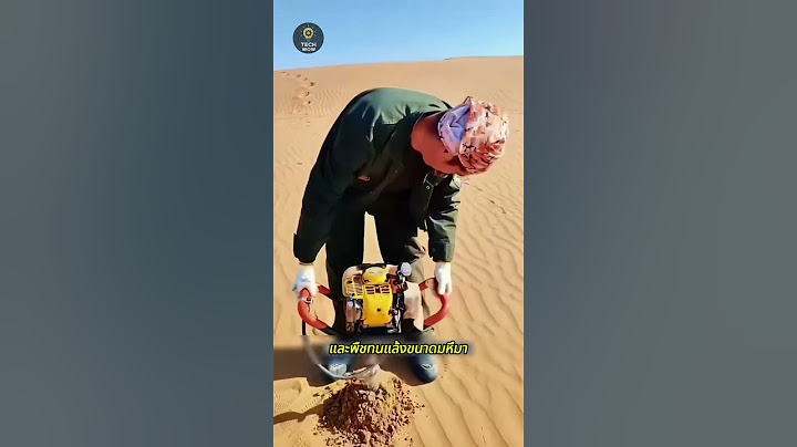 จีนปล่อยกระต่าย 1.2 ล้านตัว ฟื้นคืนชีพทะเลทราย! 🐇🏜️