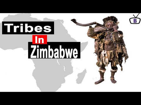 Video: Câte ndebele în zimbabwe?