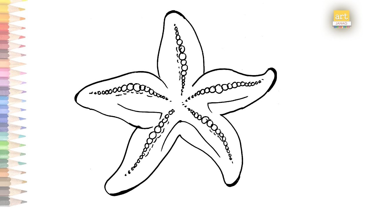How to draw a starfish step by step - YouTube