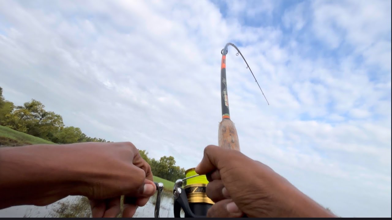 കുറെ നാളുകൾക് ശേഷം അടിച്ച മീൻ 🤯🙀